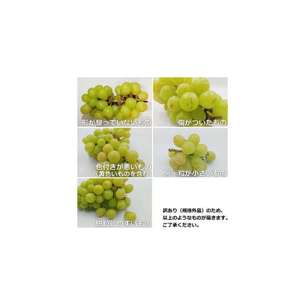 furunavi_1098613_2_d_20251126160659