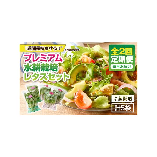 ■ 容量　▼下記セットを2ヶ月間、毎月お届けします。　＜プレミアム水耕栽培レタス＞計5袋　・ヘルシーリーフ 2〜3袋（リーフレタス約140g/袋）　・フリフリリーフ 2〜3袋（フリルアイス約180g/袋）　-----------------...