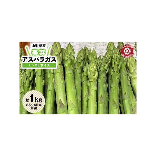 ■ 容量　※上記に記載■ 配送について　2026-05-15〜2026-06-10　タイプ：【冷蔵】