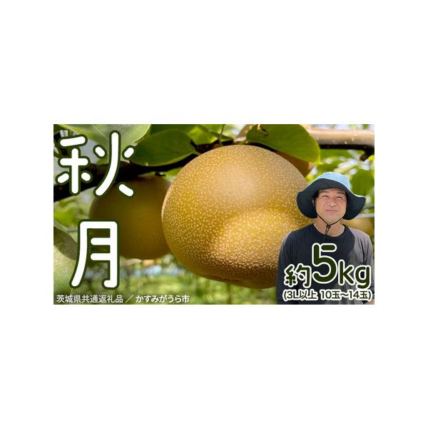 ■ 容量　5kg箱　　3L以上　10玉〜14玉入り■ 配送について　2026年9月中旬よりお申込み順に発送　発送開始後は、入金確認より2週間前後で発送　　※発送時期は、例年の発送時期になっております。その年の天候や発育によりお届けが遅れる、...