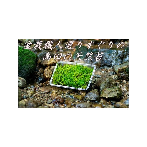 ■ 容量　約10cm×約20cm×約5cm　の入れ物1パック■ 配送について　ご寄付から１ヶ月以内に発送　タイプ：【常温】