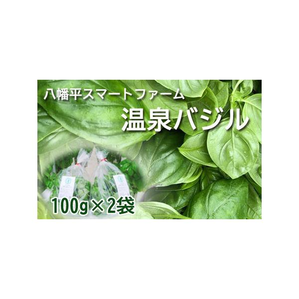 ■ 容量　・温泉バジル　100g×2袋■ 配送について　寄附納入確認後、1ヶ月以内に発送します。　タイプ：【常温】