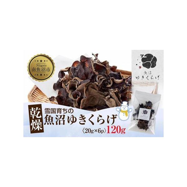 ■ 容量　20g×6パック 計120g　【賞味期限】　製造日から1年　※乾燥きくらげは、水戻しする前は約1年ほど常温で保存することができます。　戻してしまった後のキクラゲは早めに食べきるか、食べやすい大きさにカットして冷凍するのがおすすめで...