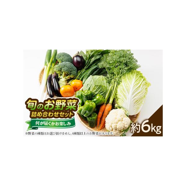 ■ 容量　※上記に記載■ 配送について　2026年1月より順次発送　タイプ：【冷蔵】