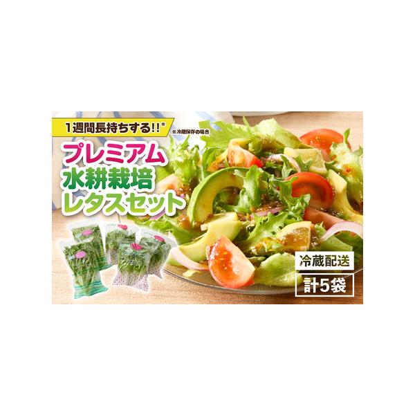 ■ 容量　＜プレミアム 水耕栽培 レタス＞合計 5袋　・ヘルシーリーフ 2〜3袋（リーフレタス 約140g/袋）　・フリフリリーフ 2〜3袋（フリルアイス 約180g/袋）　---------------------------------...
