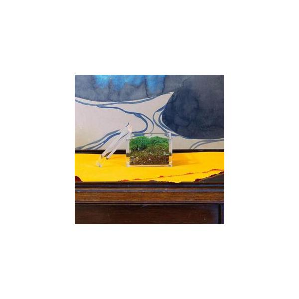 ■ 容量　苔の大きさ：6.6cmx6.6cm　付属品：包装布　枡の大きさ：外寸縦7.7cmx横7.7cmx高4.5cm　蓋：縦7.7cmx横7.7cmx高8mm■ 配送について　2026年3月下旬頃到着予定　【受付期間】　2026年2月3日...