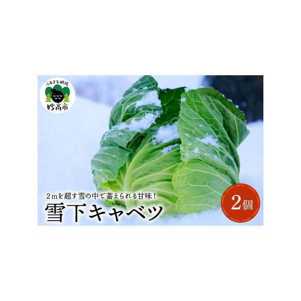 ■ 容量　雪下キャベツ2個■ 配送について　入金確認後、2026年1月より順次発送予定　タイプ：【冷蔵】
