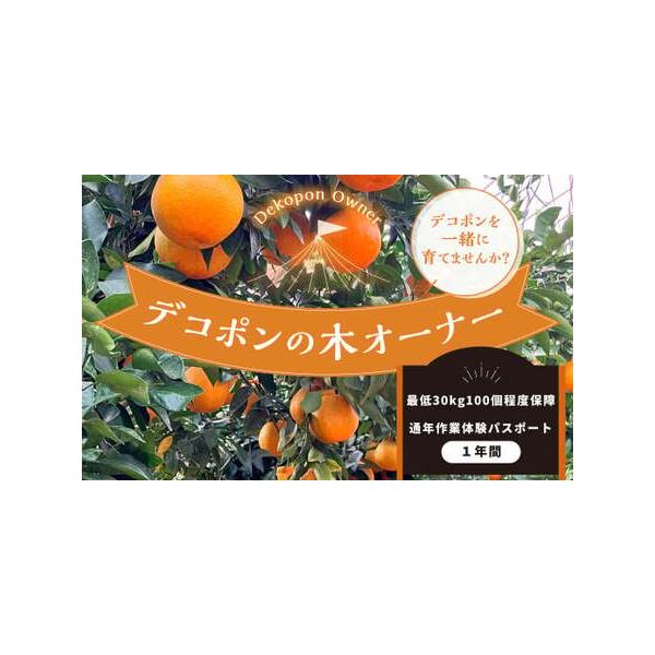 ■ 容量　・デコポンの木オーナー(最低30kg100個程度保障)　・通年作業体験パスポート■ 配送について　発送なし