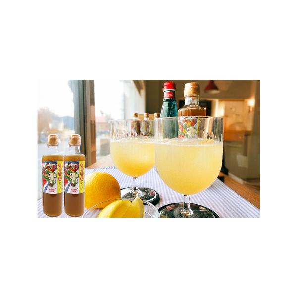 ■ 容量　万能生姜シロップ　640ml［320ml×２本］　　※開封後は冷蔵庫で保管し、2カ月以内に使い切って下さい。　原産地：鹿児島県鹿屋市　加工地(製造地)：鹿屋市　原材料：有機生姜■ 配送について　【発送時期について】　・令和6年12...