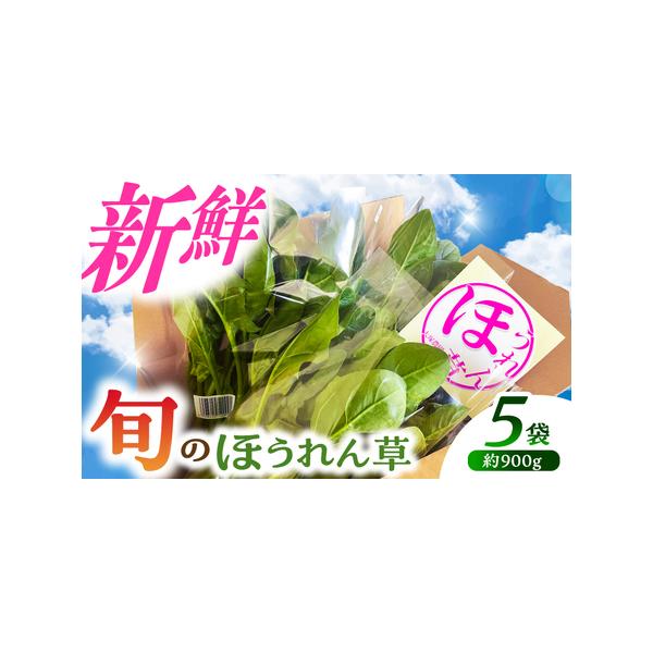 ■ 容量　旬で旨いほうれん草　180g×5袋入　計900g■ 配送について　寄附入金確認日から1ヶ月以内に発送予定です。　タイプ：【冷蔵】