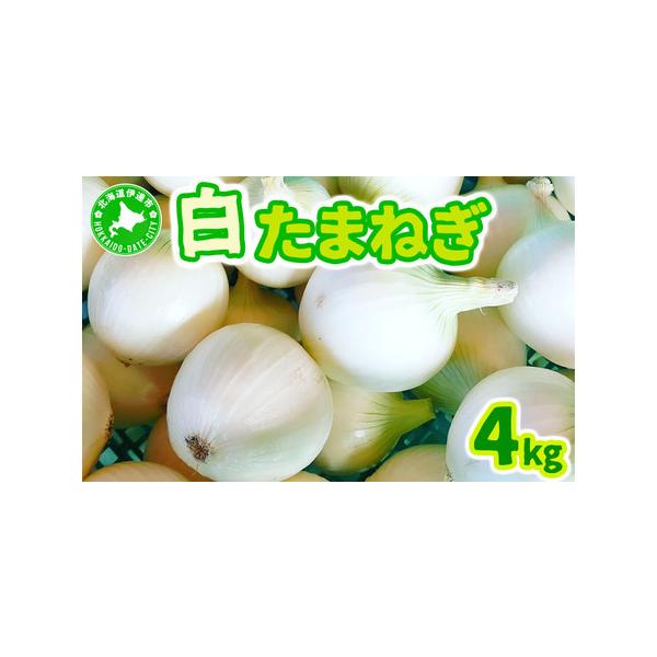 ■ 容量　白玉ねぎ 4kg　M〜Lサイズ　17〜28個　　タイプ：【常温】