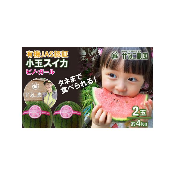 ■ 容量　有機小玉スイカ「ピノガール」2玉セット（1玉サイズ1.6〜2kg）　　賞味期限：発送から10日　　到着後、出来れば室温（12〜15℃）の冷暗所で保存して、食べる2〜3時間前に冷蔵庫で冷やしてください。賞味期限内に早めにお召し上がり...