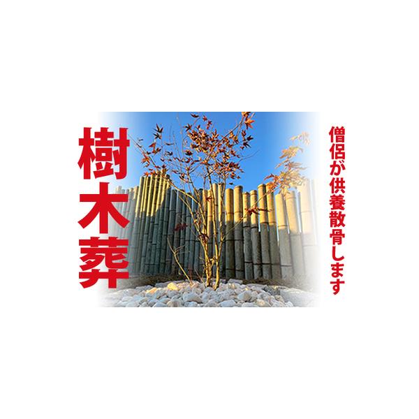 ■ 容量　樹木葬散骨■ 配送について　ご入金確認後随時