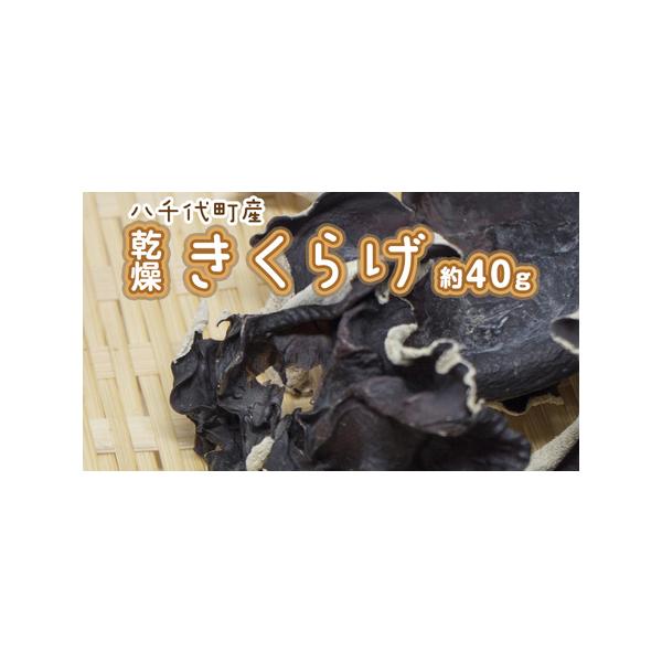 ■ 容量　乾燥きくらげ 約40g■ 配送について　寄附入金確認後、1ヵ月前後で発送　タイプ：【常温】
