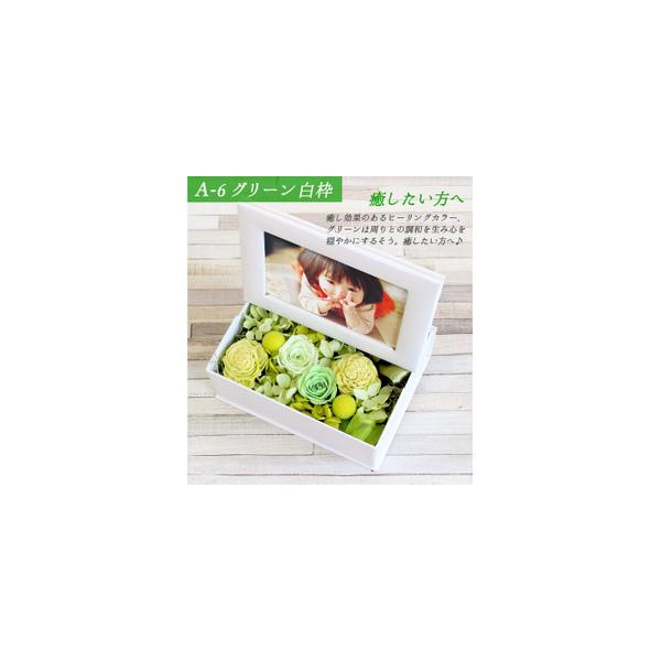 ■ 容量　1個　【グリーン／白枠】■ 配送について　寄附確認後、30営業日以内に発送予定　年末年始（12月・1月）は寄附確認後、60営業日以内に発送予定　※天候や発送状況により多少前後する場合がございますので、予めご了承ください。　タイプ：...