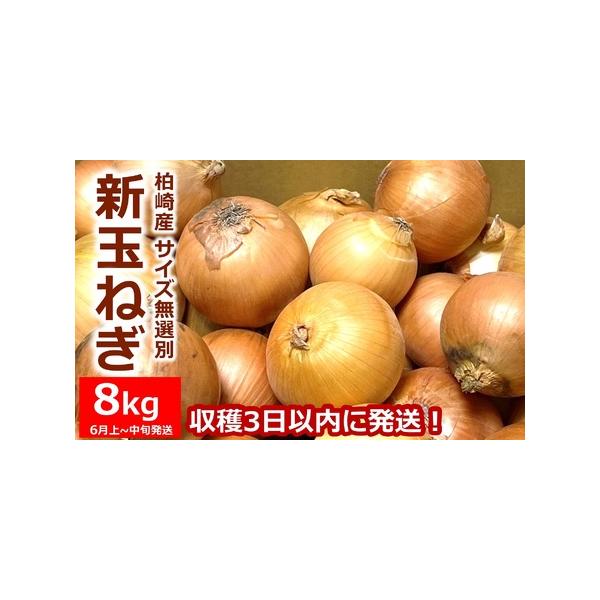 ■ 容量　・新玉ねぎ サイズ無選別：8kg　　消費期限：　新玉ねぎは傷つきやすく、あまり日持ちしません。　商品がお手元に届きましたら封を開け、冷蔵庫での保存をお勧めします。　湿気に弱いため、新聞紙やキッチンペーパーなどで包んでいただくとなお...
