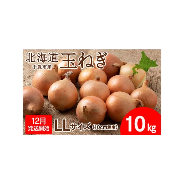 ■ 容量　玉ねぎ LLサイズ（10cm程度）10kg　　賞味期限　生鮮食品につきなるべくお早めにお召し上がりください。　　アレルギー品目　特定原材料8品目は使用していません　特定原材料に準ずるもの20品目は使用していません■ 配送について　...