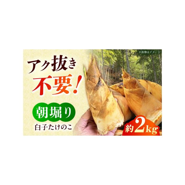 ■ 容量　総重量：約2kg　産地（都道府県）：大阪府高槻市　梶原地区　旬の時期：3月, 4月　販売者：高槻あぐり　高槻市古曾部町2-6-1-507　名称：朝掘り白子たけのこ　　【原料原産地】　高槻産■ 配送について　4月末までに発送予定　※...