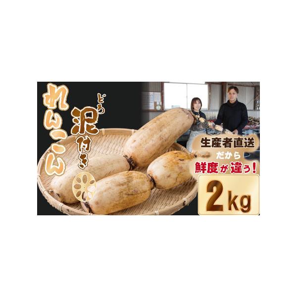 ■ 容量　佐賀県産レンコン（小城市産）：2kg■ 配送について　※現在、お申し込みいただいた分は、R8年1月中旬以降の発送となります。予め、ご了承ください。　　なお、お申し込みが集中した場合には、お届けに1〜2ヶ月以上かかる場合もございます...