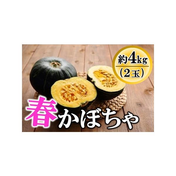 ■ 容量　４kg■ 配送について　入金確認後、2026年５月から順次発送　（青物野菜なので前後する場合がありますがご了承ください）　タイプ：【常温】