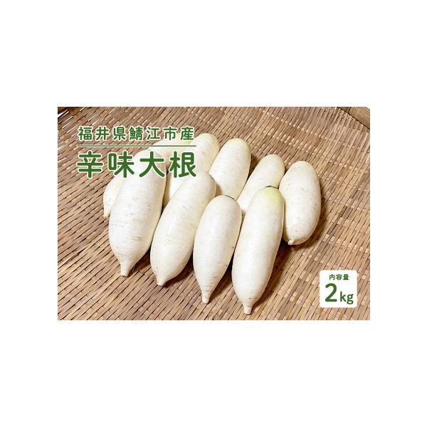 ■ 容量　福井県鯖江市産 辛味大根 2kg　　【関連キーワード】　おろしそば 辛味大根 美味しい野菜 薬味　　【場産地品に該当する理由】　類型：1　市内で生産された農作物■ 配送について　決済から14日前後で発送　　※到着後、お早めにお召し...