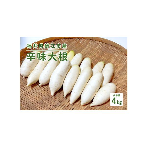 ■ 容量　福井県鯖江市産 辛味大根 4kg　　【関連キーワード】　おろしそば 辛味大根 美味しい野菜 薬味　　【場産地品に該当する理由】　類型：1　市内で生産された農作物■ 配送について　決済から14日前後で発送　　※到着後、お早めにお召し...