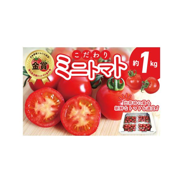 ■ 容量　ミニトマト 4パックで合計約1kg　※画像はイメージです。■ 配送について　2026年5月?6月の期間で寄附受付順に発送予定　※品質保持のため、宅配ボックスへの配達や置き配などのご要望はお受けできません。　タイプ：【冷蔵】