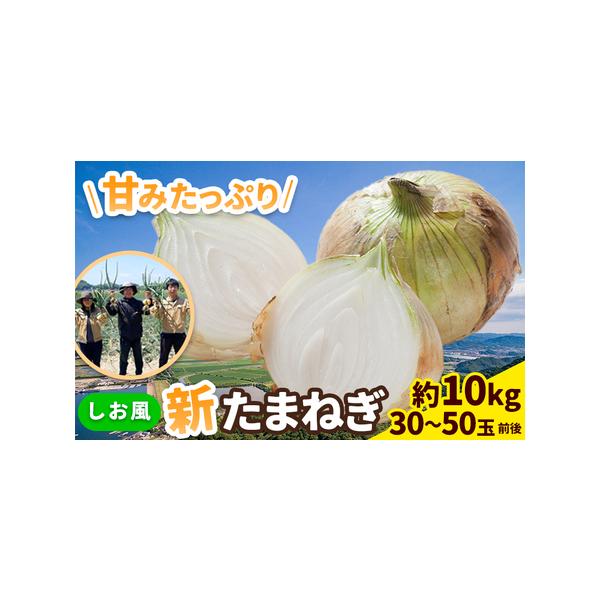■ 容量　約10kg(30〜50玉前後)■ 配送について　2026年5月中旬-6月上旬頃出荷　タイプ：【常温】