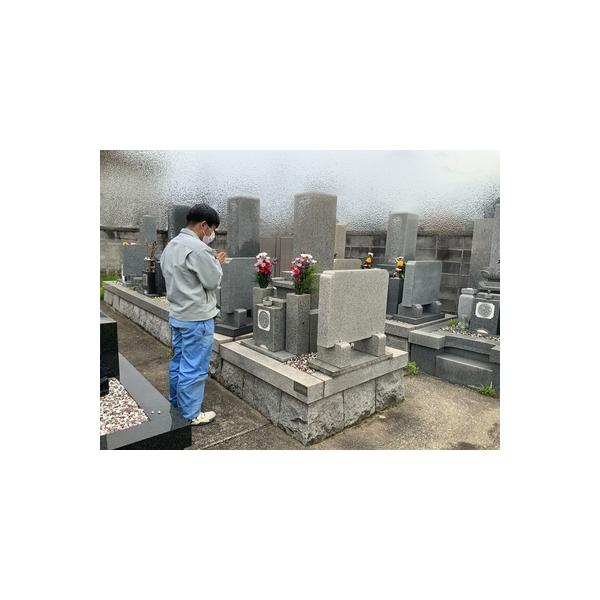 ■ 容量　年3回　タイプ：【常温】