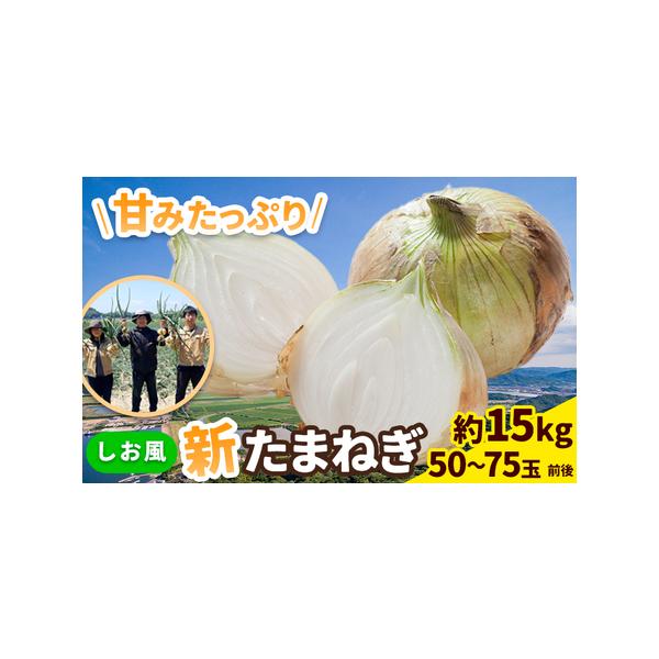 ■ 容量　約15kg(50〜75玉前後)■ 配送について　2026年5月中旬-6月上旬頃出荷　タイプ：【常温】