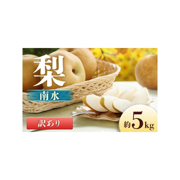■ 容量　＜2026年に発送する予約注文分です＞　内容量：8〜16玉（約5kg）　※大きさで玉数は異なります。■ 配送について　2026年9月下旬〜10月上旬　※その年の気候により配送時期に変動がある可能性がございます。　タイプ：【常温】