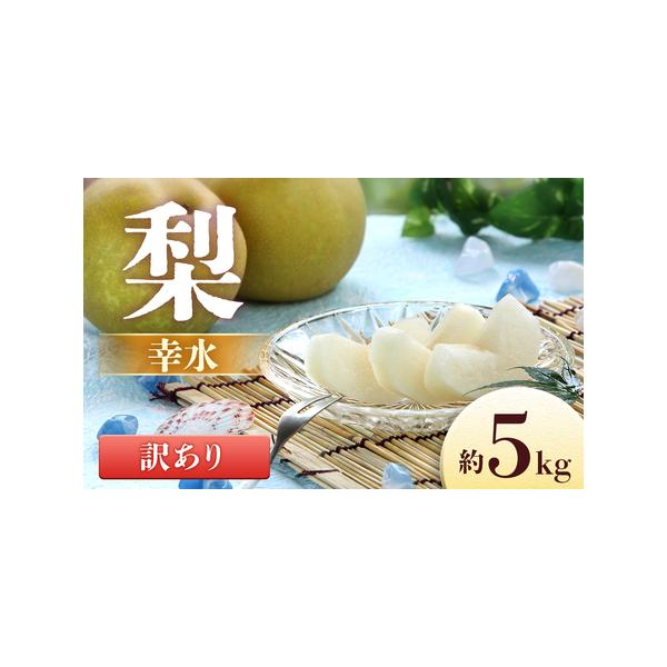 ■ 容量　＜2026年8月中旬〜9月上旬配送先行予約品＞　内容量：8〜16玉（5キロ箱にこの玉数が入ります）　※大きさで玉数は異なります。　※写真はイメージです。■ 配送について　2026年8月中旬〜9月上旬　※その年の気候により配送時期に...