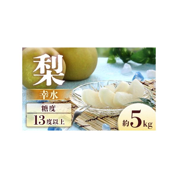 ■ 容量　内容量：約5kg(8〜16玉)　※大きさで玉数は異なります。■ 配送について　2026年8月中旬〜9月上旬　発送期間の３週間前までにご連絡いただければ、荷物の着日指定を承ります。（着日は配送期間内に限る）　※その年の気候により配送...