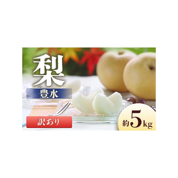 ■ 容量　＜2026年8月下旬〜9月上旬配送先行予約品＞　内容量：10〜16玉（5キロ箱にこの玉数が入ります）　※大きさで玉数は異なります。　※写真はイメージです。■ 配送について　2026年8月下旬〜9月中旬　※その年の気候により配送時期...
