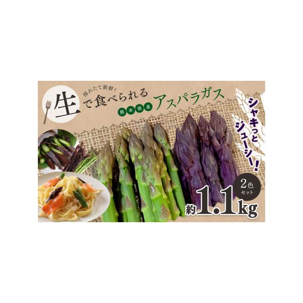 ■ 容量　グリーンアスパラガス 800g　パープルアスパラガス 300g■ 配送について　2026年4月頃より順次発送致します。　4月以降のお申し込みは、寄附納入確認後、1ヵ月程度で発送いたします。　タイプ：【冷蔵】