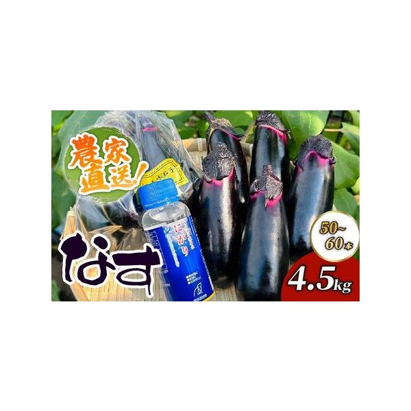 ■ 容量　約4.5kg（10袋〜12袋、50〜60本）Mサイズ■ 配送について　※7月〜8月は苗の入れ替え、作付け期間となるため発送ができません。　　恐れ入りますが、6月〜8月の間にご寄附いただいた場合、ご入金確認状況により9月下旬から順次...