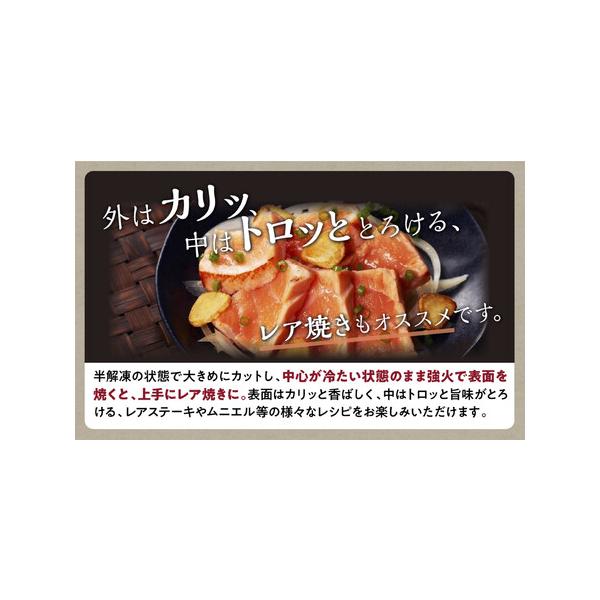 furunavi_1139467_2_d_20260331193929