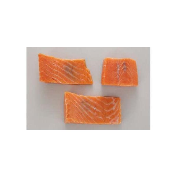 furunavi_1139467_4_d_20260331193929