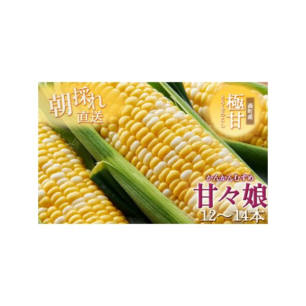 ■ 容量　森町産とうもろこし（甘々娘）12本〜14本　■ 配送について　2026年6月上旬〜6月下旬　　タイプ：【冷蔵】