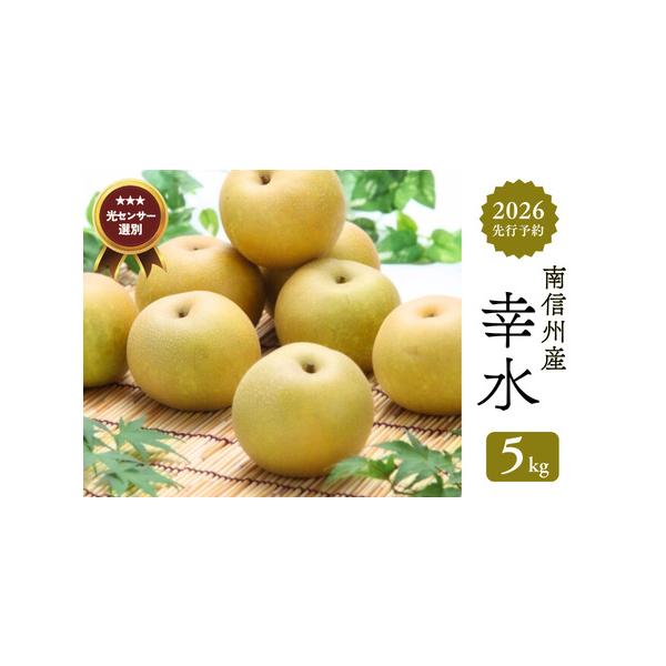 ■ 容量　【先行予約】2026年発送　約5kg（8〜16玉）　※天候の影響で中玉が入ることがあります（大きさで玉数が異なります）。　　玉数の指定はお受けできません。■ 配送について　※着日指定等、配送日程についてのご希望はお受けいたしかねま...