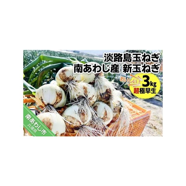■ 容量　新玉ねぎ（超極早生）３kg■ 配送について　例年２月以降、順次発送します。　※長期不在、転居等でお受け取りいただけない場合、再送はいたしかねます。ご了承ください。　タイプ：【常温】