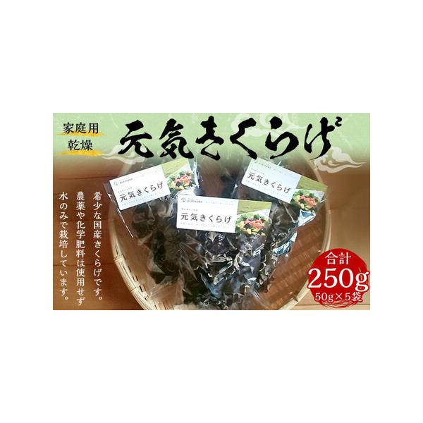 ■ 容量　乾燥きくらげ　50g×5袋（合計250g）■ 配送について　寄附確認後、30営業日以内に発送予定　年末年始(12月・1月)は寄附確認後、60営業日以内に発送予定　※天候や発送状況により多少前後する場合がございますので、予めご了承く...