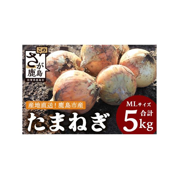 ■ 容量　約5kg■ 配送について　入金確認後、30日以内で発送致します。　５月以降に発送予定しています。　タイプ：【常温】