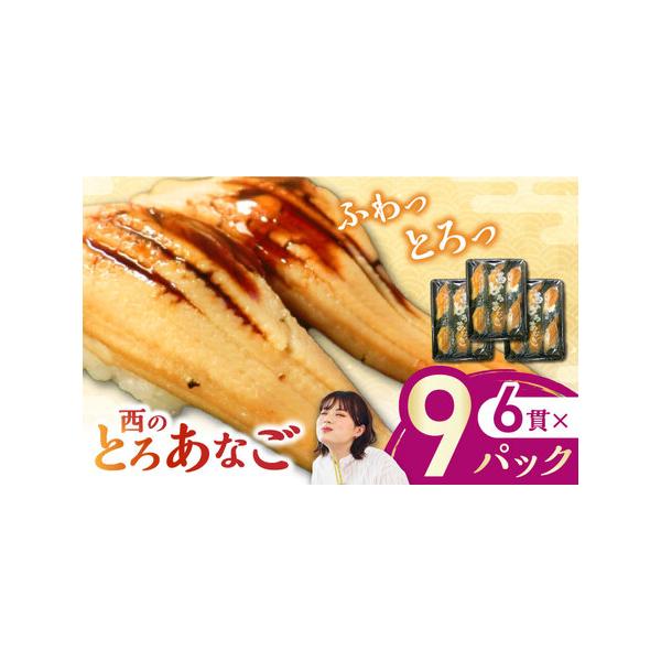 ■ 容量　煮穴子寿司×6貫（170ｇ）×9PAC■ 配送について　ご入金確認後から1週間程度で発送　※12月は注文が集中するため、記載の配送期日通りのお届けができない場合がございます。予めご了承ください。　タイプ：【冷凍】