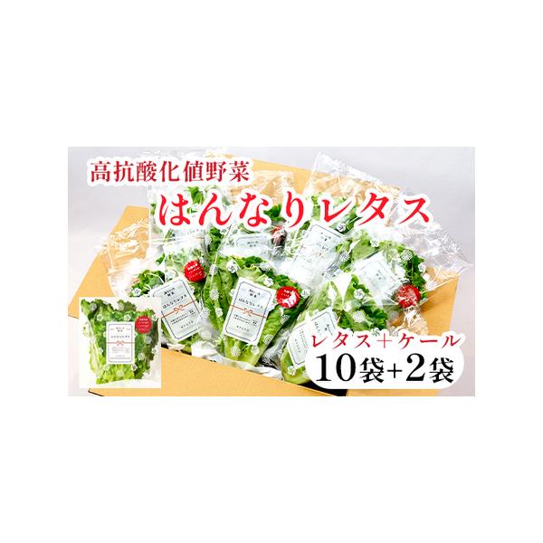 ■ 容量　60g 前後/袋　×12袋（レタス10袋、ケール2袋）■ 配送について　１週間〜1か月以内に発送　タイプ：【冷蔵】【のし】