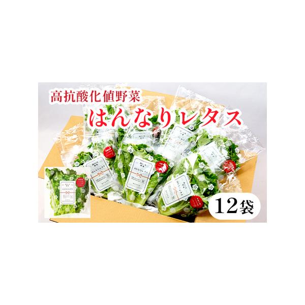 ■ 容量　60g 前後/袋　×12袋■ 配送について　１週間〜1か月以内に発送　タイプ：【冷蔵】【のし】