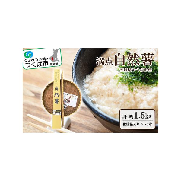 ■ 容量　■内容量/原産地　満点自然薯　約1.5kg化粧箱入(2〜3本入)　原産地:茨城県つくば市■ 配送について　通年　入金確認後順次発送いたします。　タイプ：【常温】