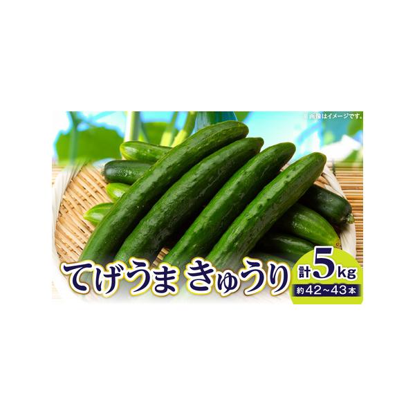 ■ 容量　てげうま きゅうり　42〜43本入り　計約5kg■ 配送について　2026年4月30日までに順次発送予定　※一部離島にはクール便でのお届けが出来ませんのでご注意ください。　タイプ：【冷蔵】