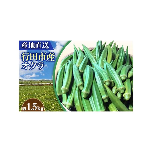 ■ 容量　【内容】　オクラ　約1500g　　賞味期限：発送日より7日程度　提供元：國嶋農産■ 配送について　令和6年7月1日〜令和6年10月15日　タイプ：【冷蔵】