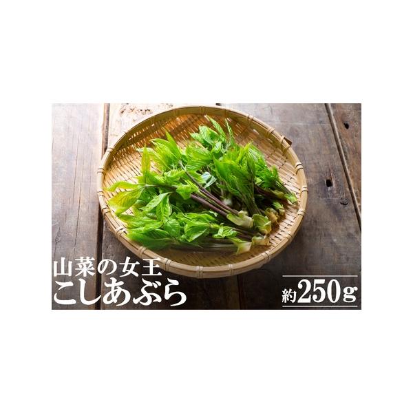 ■ 容量　約250g■ 配送について　2026年04月中旬頃から05月上旬頃にかけて、寄付受付順に発送　タイプ：【冷蔵】